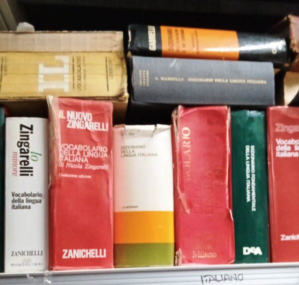 dizionario